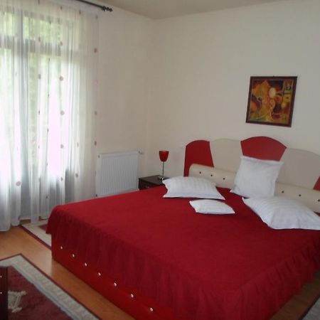 Pensiunea Speranta Hotel Sovata Exterior photo