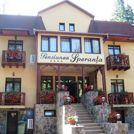 Pensiunea Speranta Hotel Sovata Exterior photo