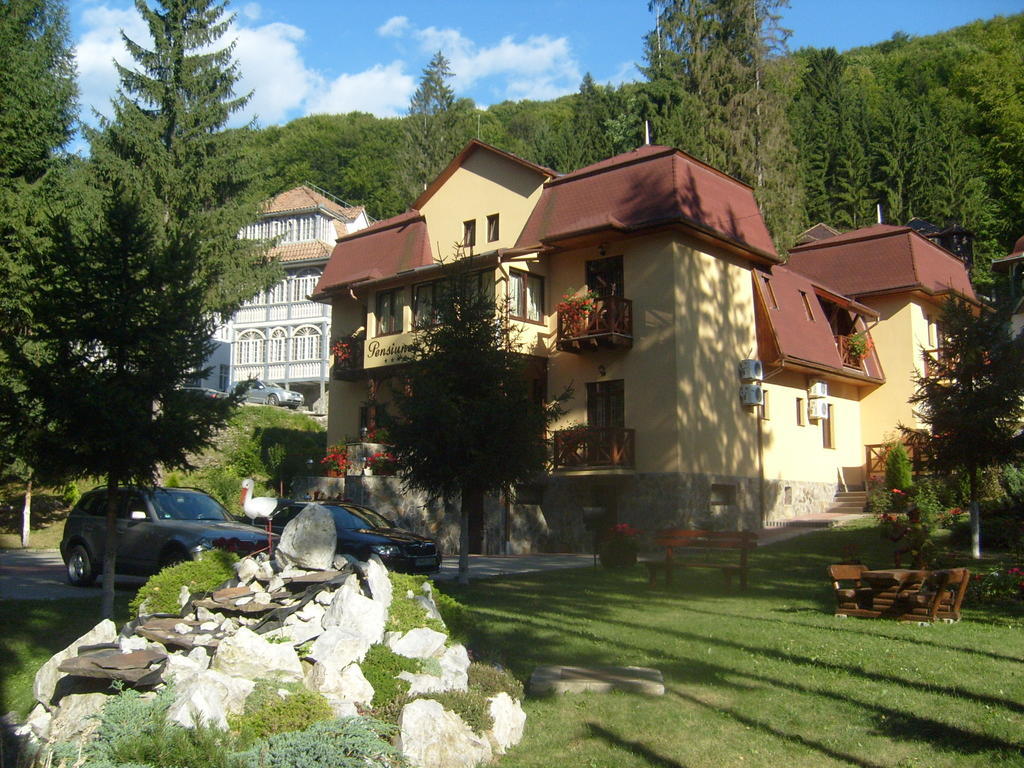 Pensiunea Speranta Hotel Sovata Exterior photo